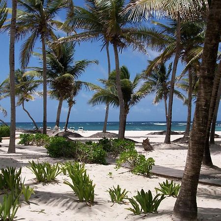 Hibiscus Beach Resort Christiansted Exteriör bild