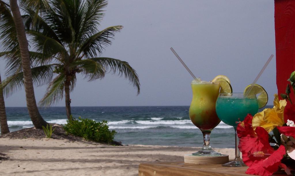 Hibiscus Beach Resort Christiansted Exteriör bild