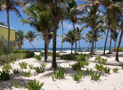 Hibiscus Beach Resort Christiansted Exteriör bild